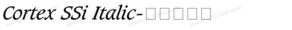 Cortex SSi Italic字体转换